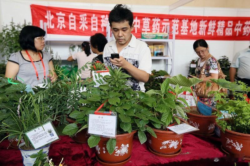 植物神经紊乱能不能痊愈这事儿，得看具体情况。有些轻微症状的患者，通过自我调节有自