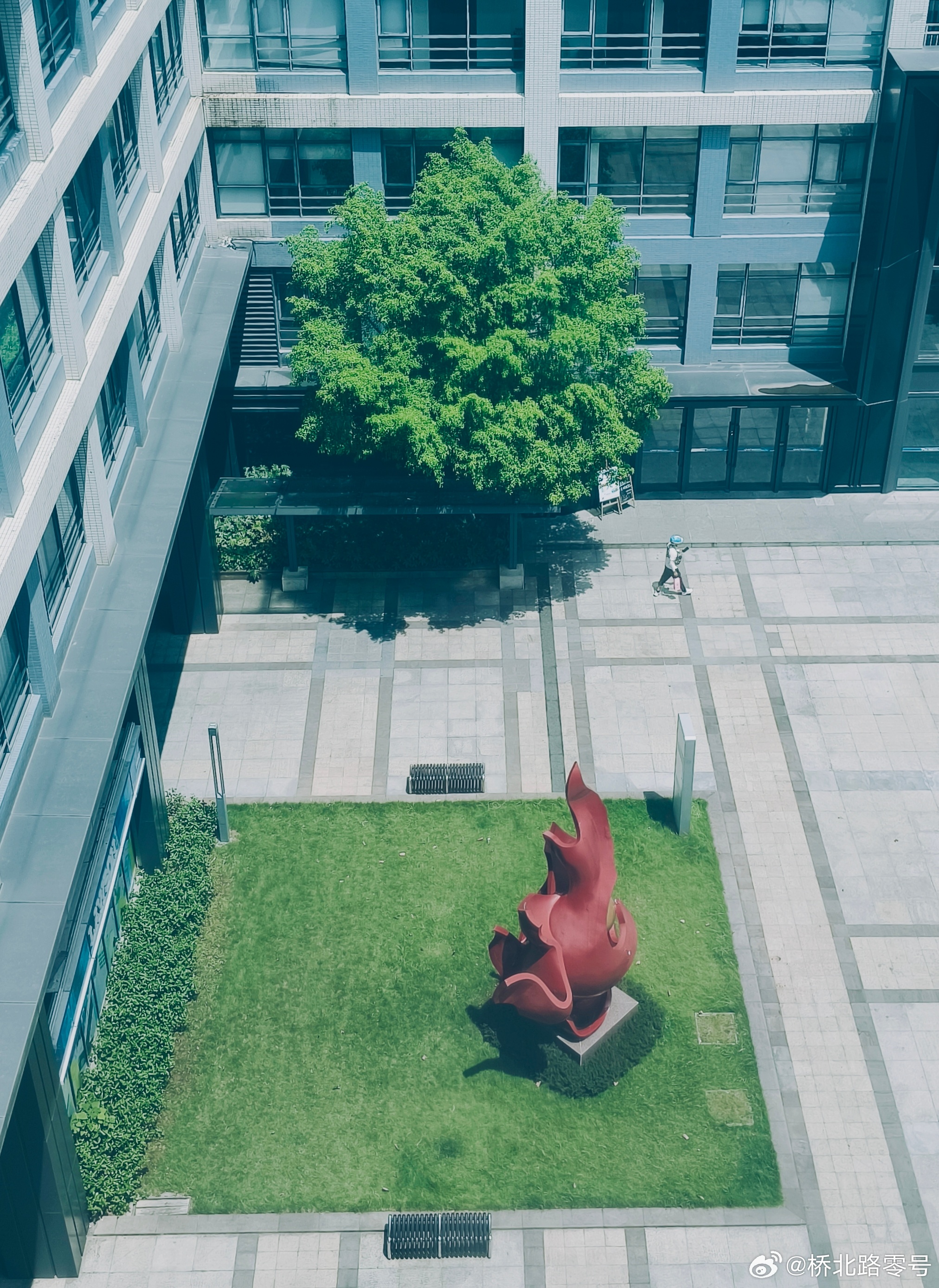 匆忙热点观点 ​​​