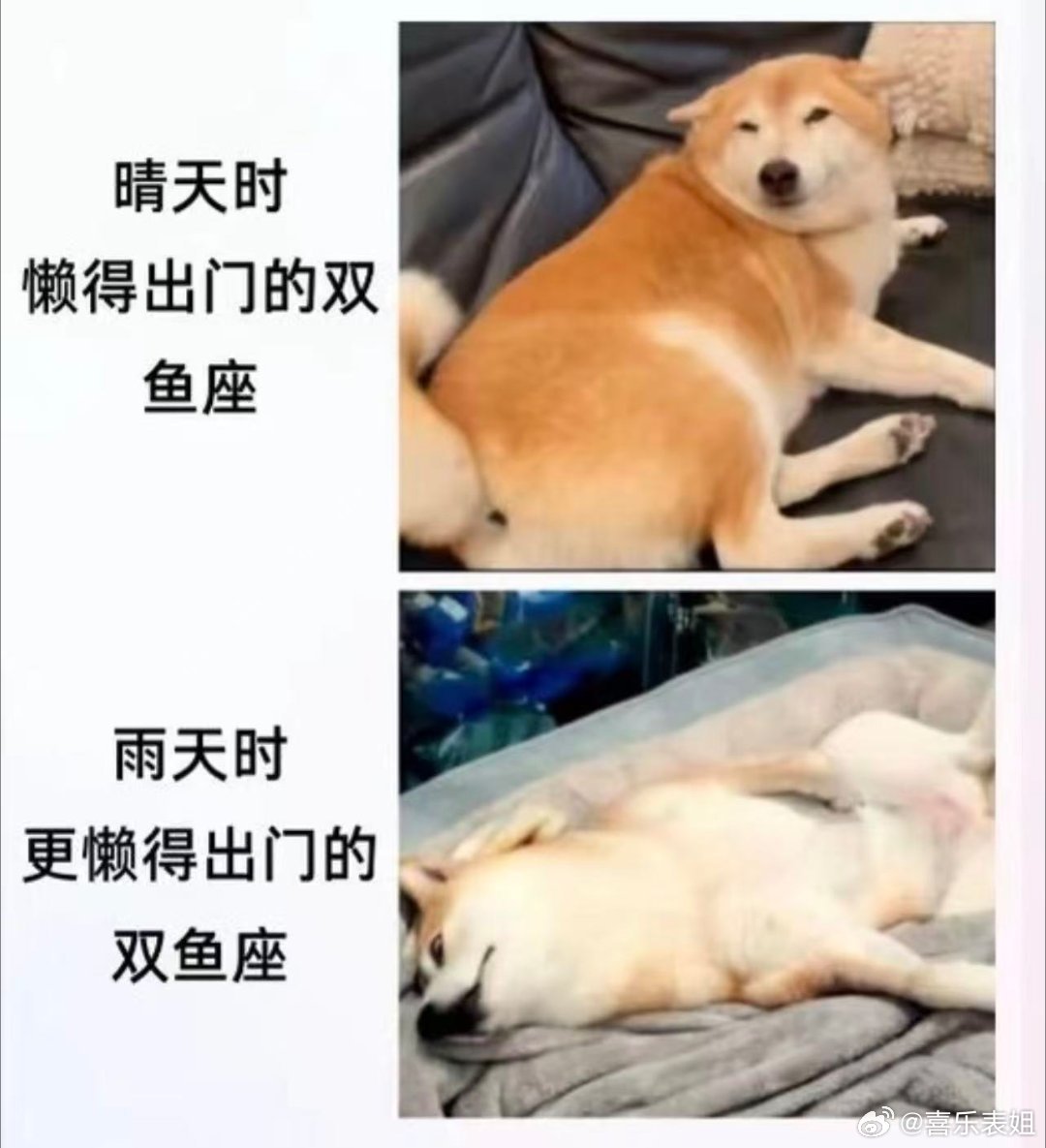 十二星座 双鱼：因为天气太晴朗而不想出门。也是双鱼：天气太阴也没心情出门。 