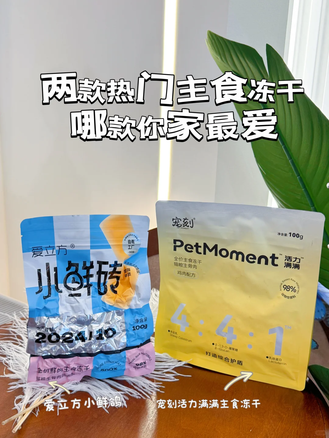 选择困难症？哪个更适合你的猫咪？