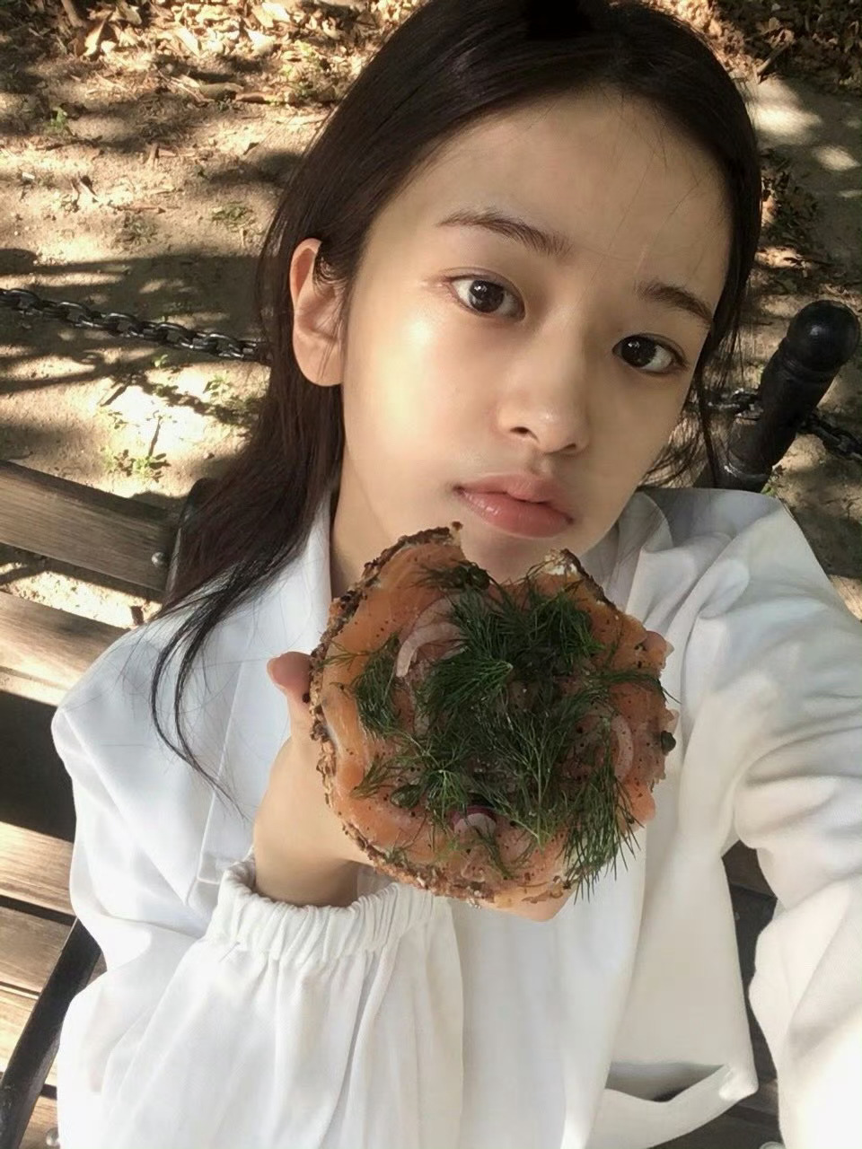每日一善 🍒每日一善 🦌阳光信用 【诚信hu/dong  指路hui 不吞必