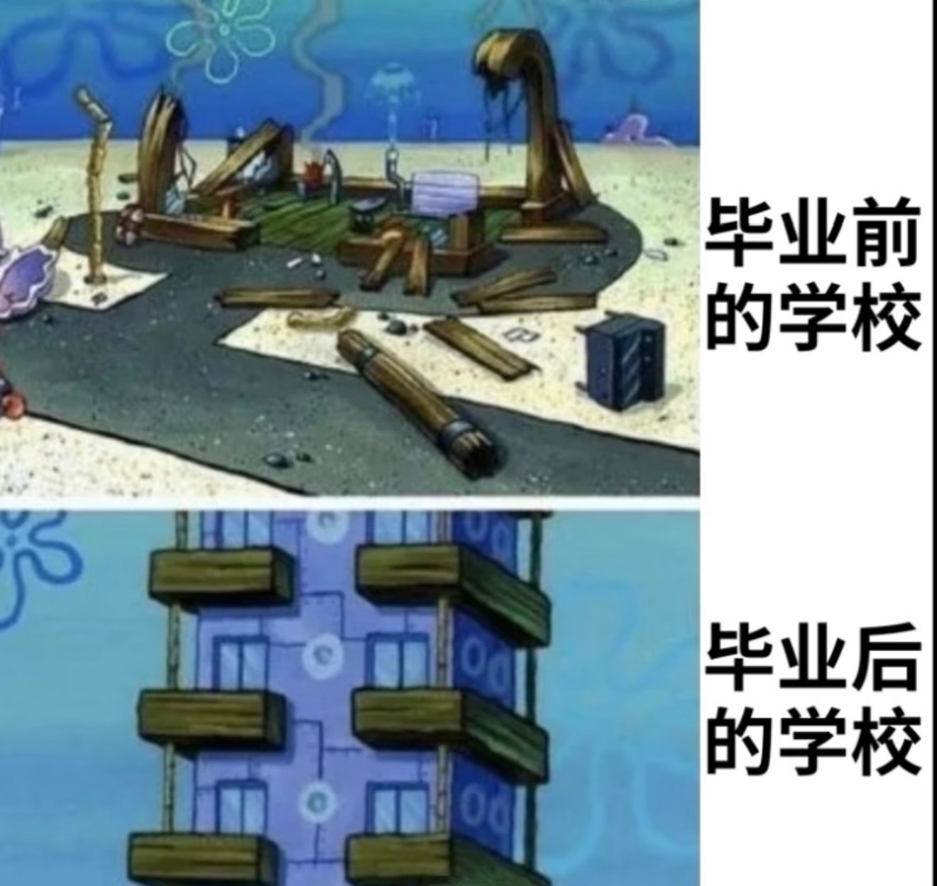 学校已经发展成这样了吗万万没想到如今校园已经焕然一新，硬件设施全面升级，教学模式
