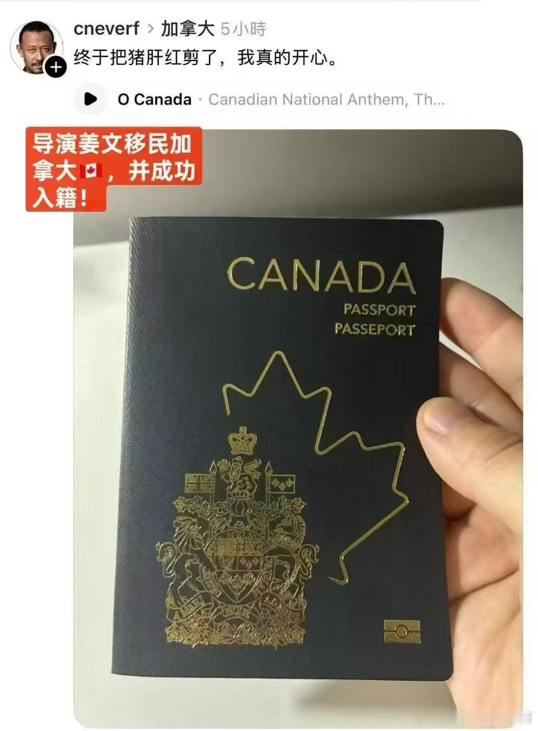 不信谣不传谣