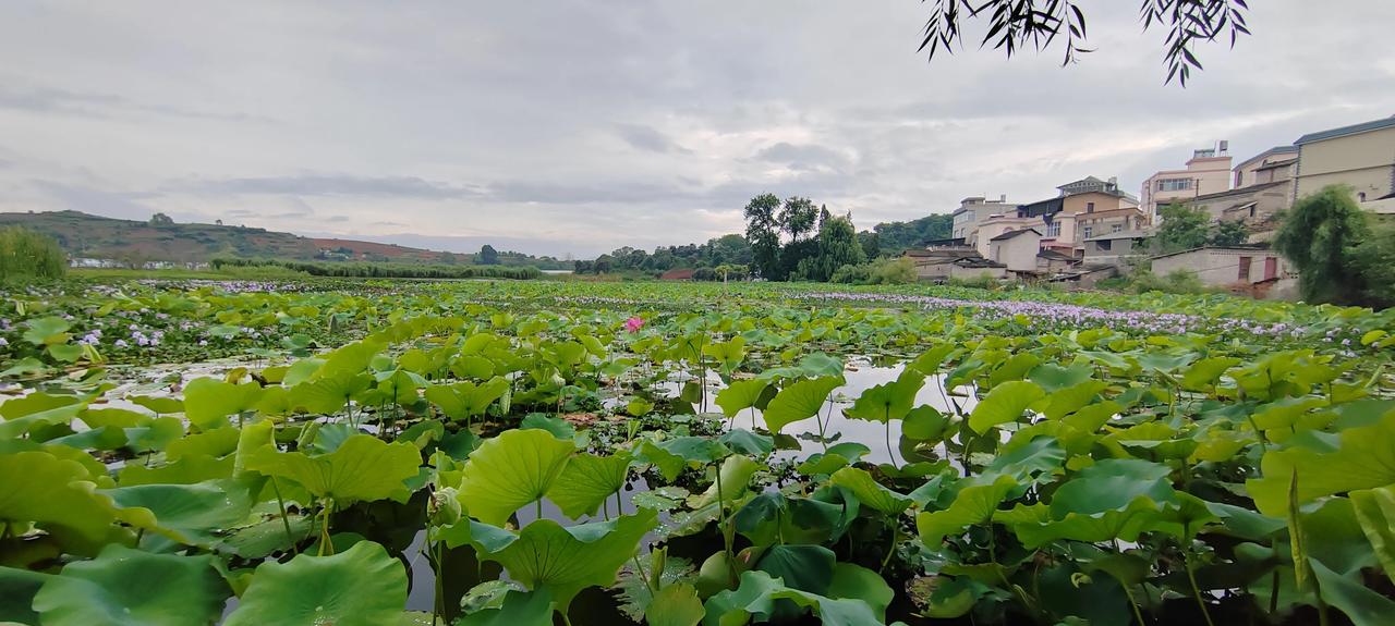 普通人的历史往往就是一个糊涂史，大多平淡无奇，确实没有多少价值和教育意义可言。[