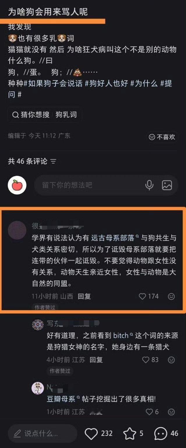 看不懂，申请中译中 