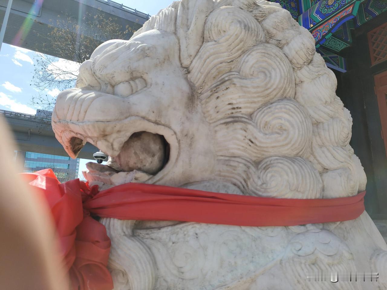 问：要把石球放狮子嘴里拢共分几步？
答：三步。把嘴扒开，把球放进去，把嘴闭上
“