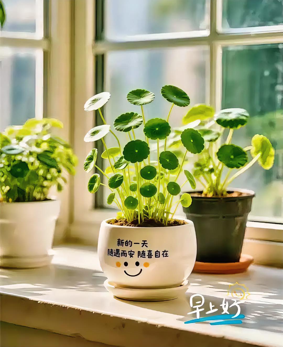 ♥取一缕晨光，敬好运与自由，愿所有的一切，像日出一样，越来越好！愿你认真生活，一