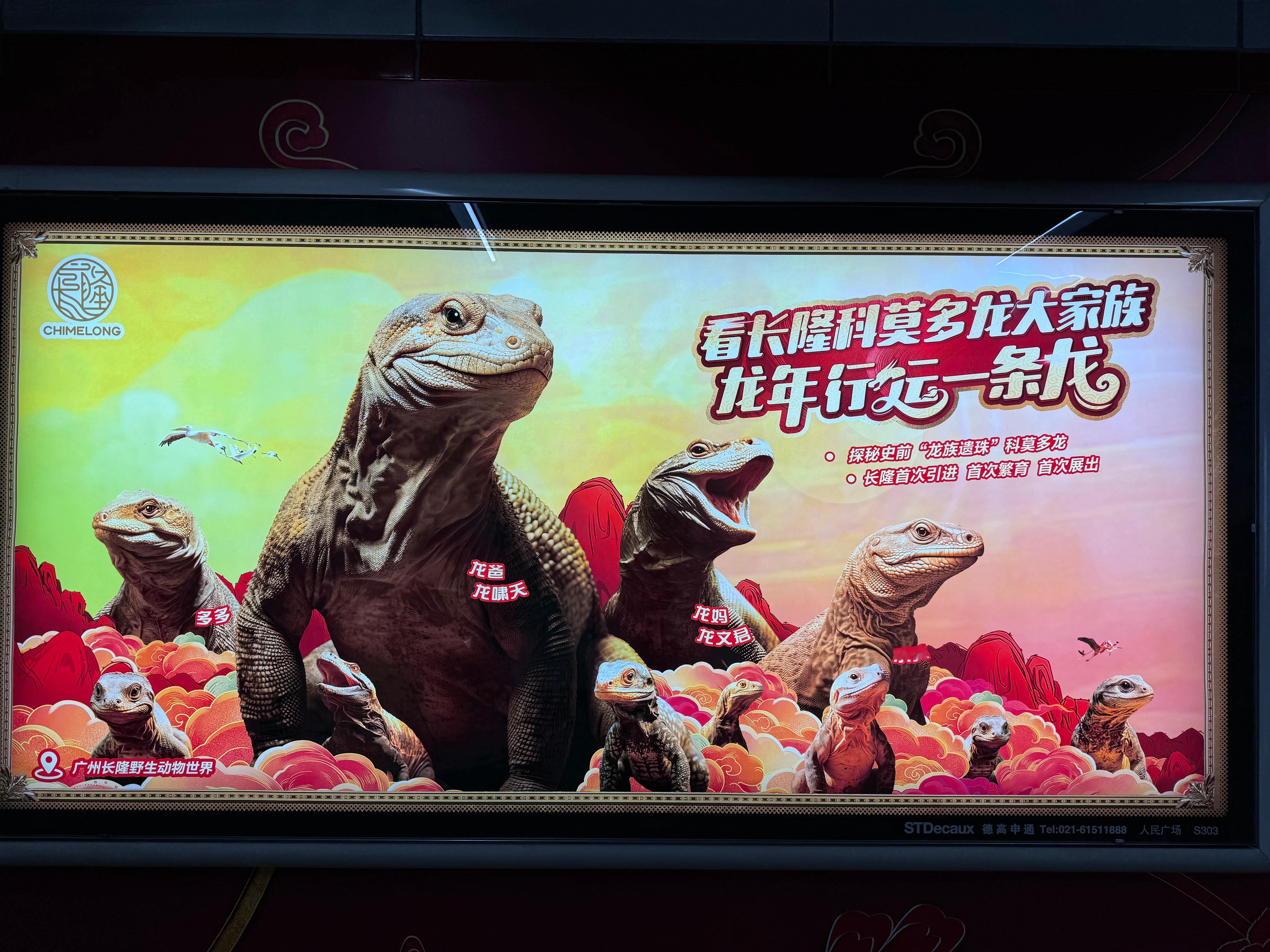  龙啸天。科莫多基本上是“哑巴”，声带很不发达；即使在被激怒时，也仅能听到它发出