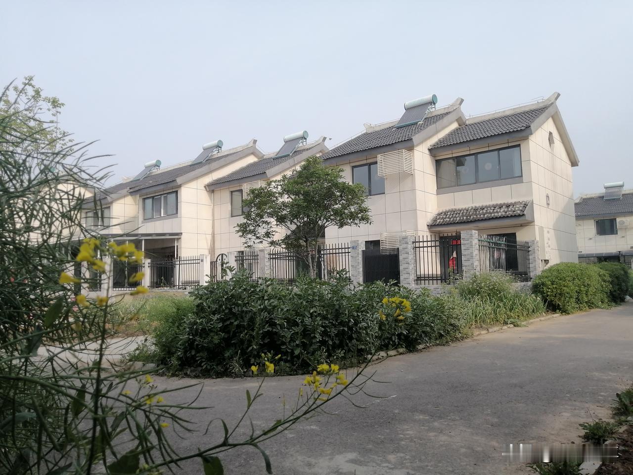 在这里真有一种：“采菊东篱下，悠然见南山。山气日夕佳，飞鸟相与还。此中有真意，欲