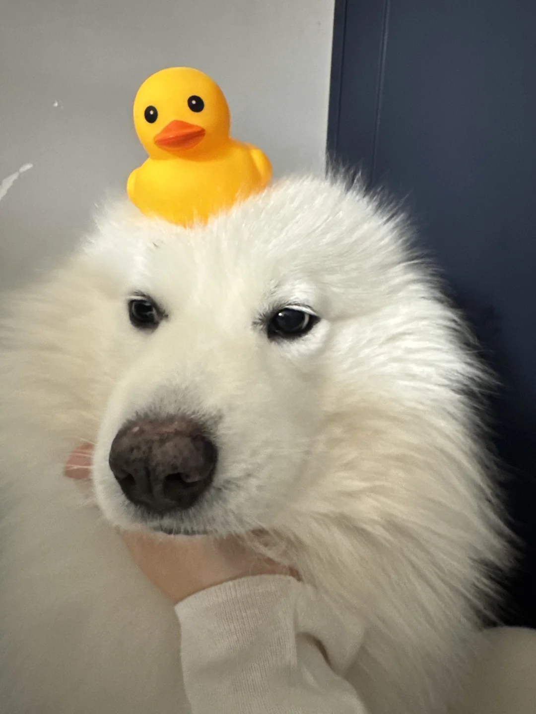 好像很不服气？