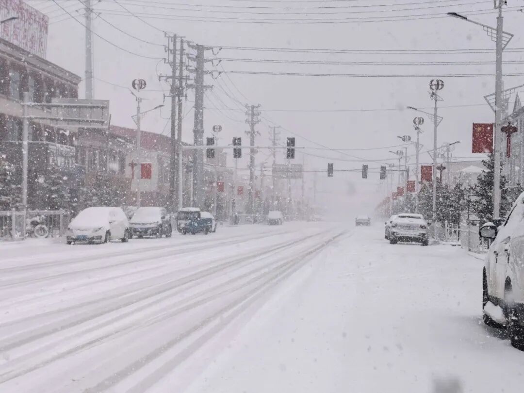 清明假期，青海多地有中到大雪，局地暴雪