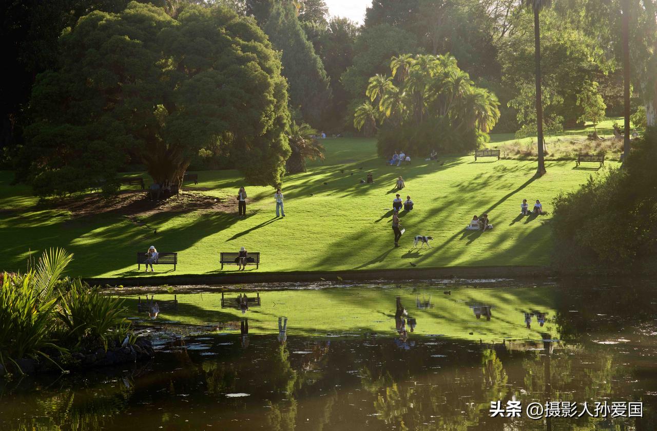 空气洁净通透——澳大利亚墨尔本皇家植物园