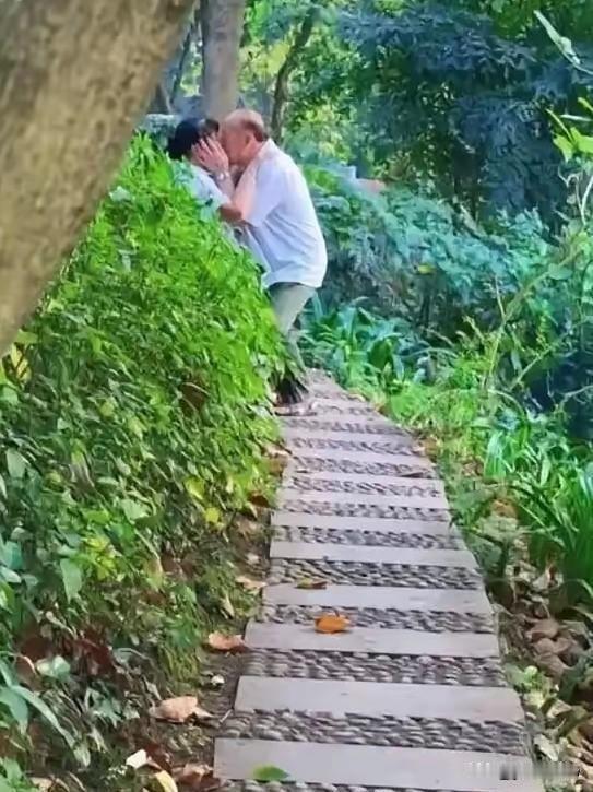 夏日生活打卡季这年头长辈们纷纷迎来晚年良缘，脱单进度远超年轻人。公园起舞、学堂相