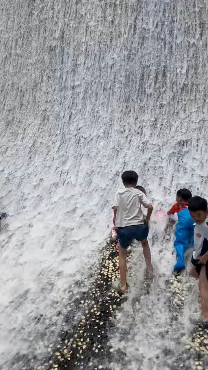 宝妈私藏避暑地，桉树林银河瀑布，孩子玩一整天不肯走