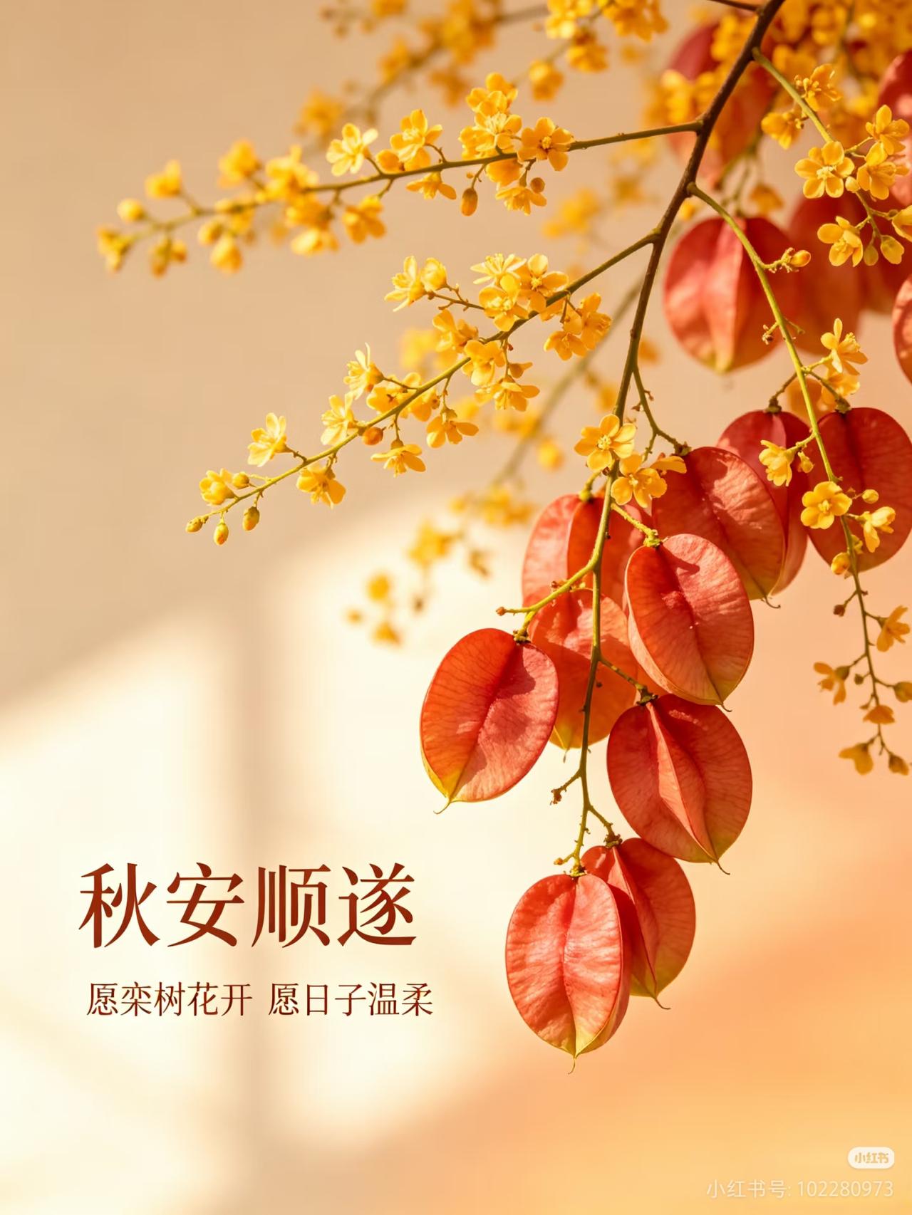 早上好，今天是9月14日星期一，距亚运会女排比赛还有两天。
对中国女排此次亚运会