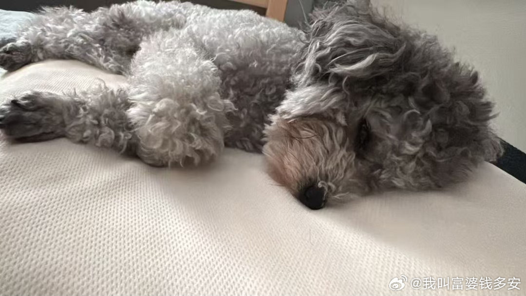 眼睛睁开，吓我一跳，这是像生病的崽吗天天演我 