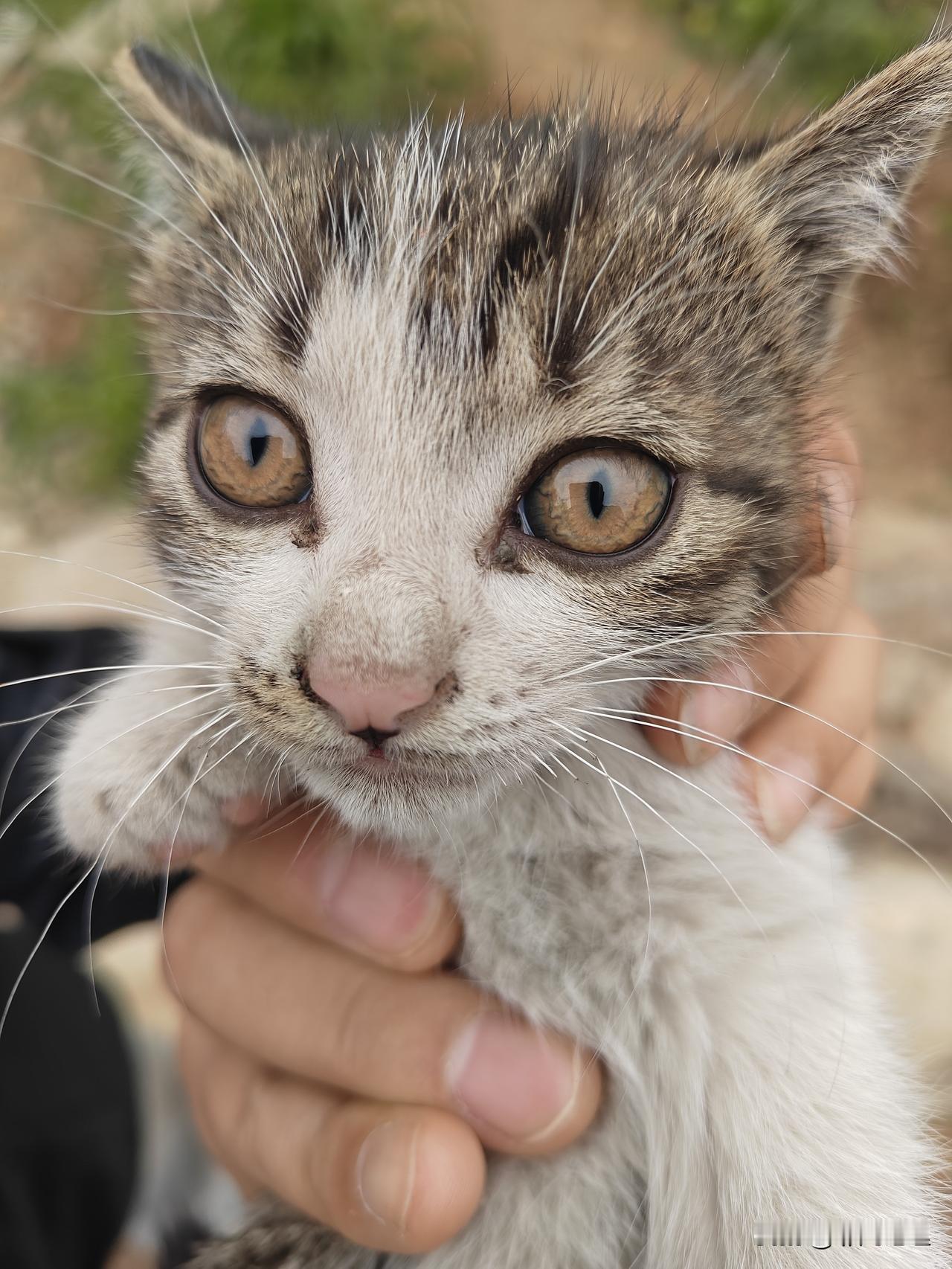 我都以为走错路了，太偏了！结果老板说一到周末人还很多！

春假都出去玩，我就想着