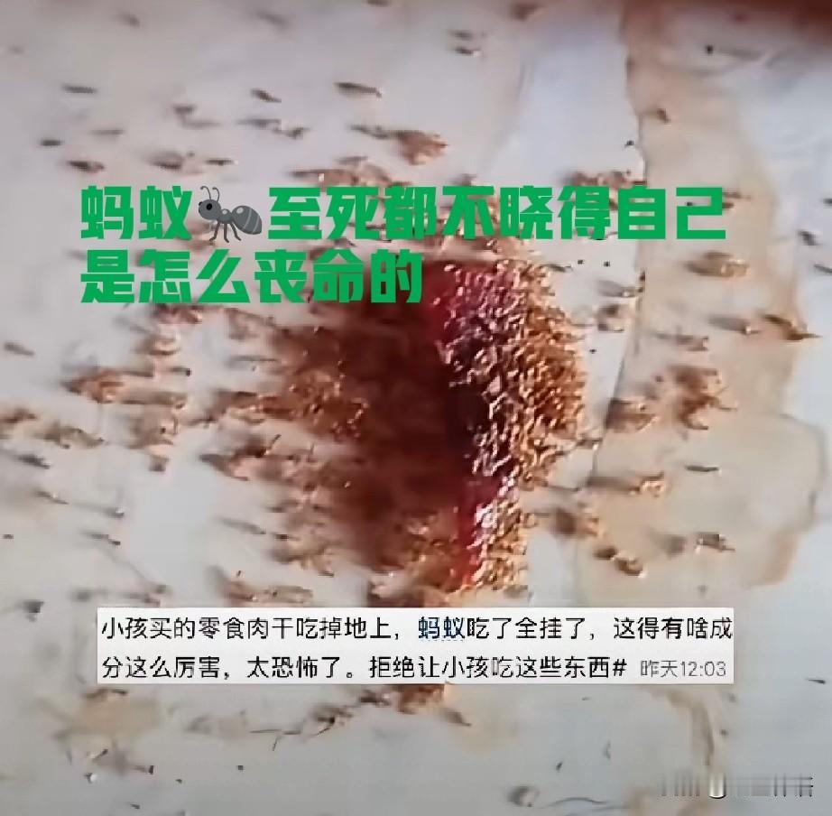 惊悚！孩子牛零食肉干掉地上蚂蚁吃了全体阵亡！

看到惠州广播电视台一条新闻，让人