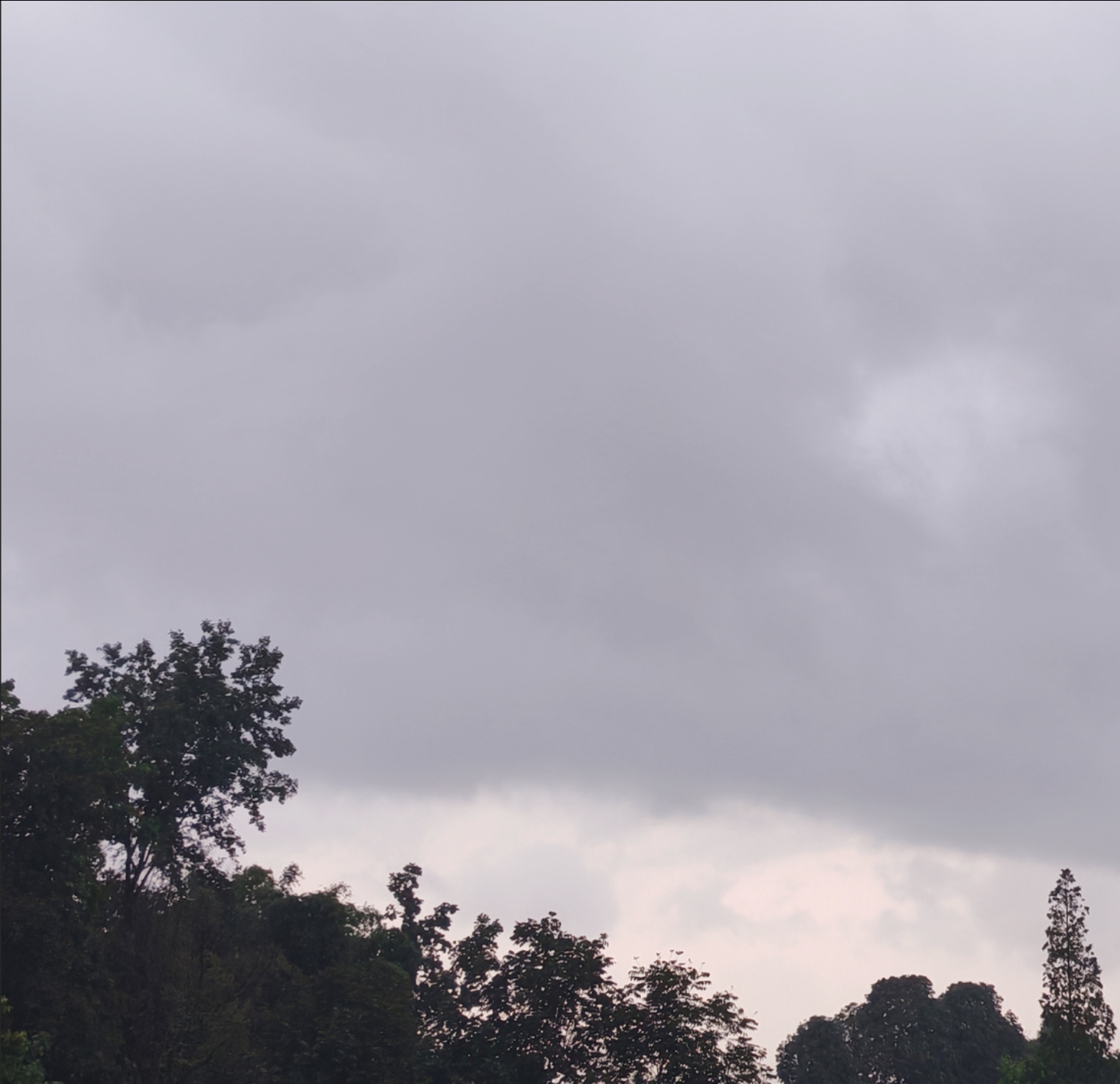 下雨🌧️🌧️🌧️比依萍找他爸要钱那天还要大生活手记