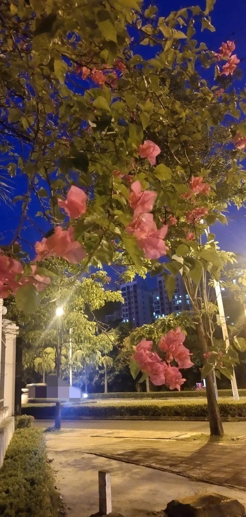 小区住着一位不起眼的大姐，看她平时省吃俭用，穿衣服都是一年不怎么换的样子，我以为