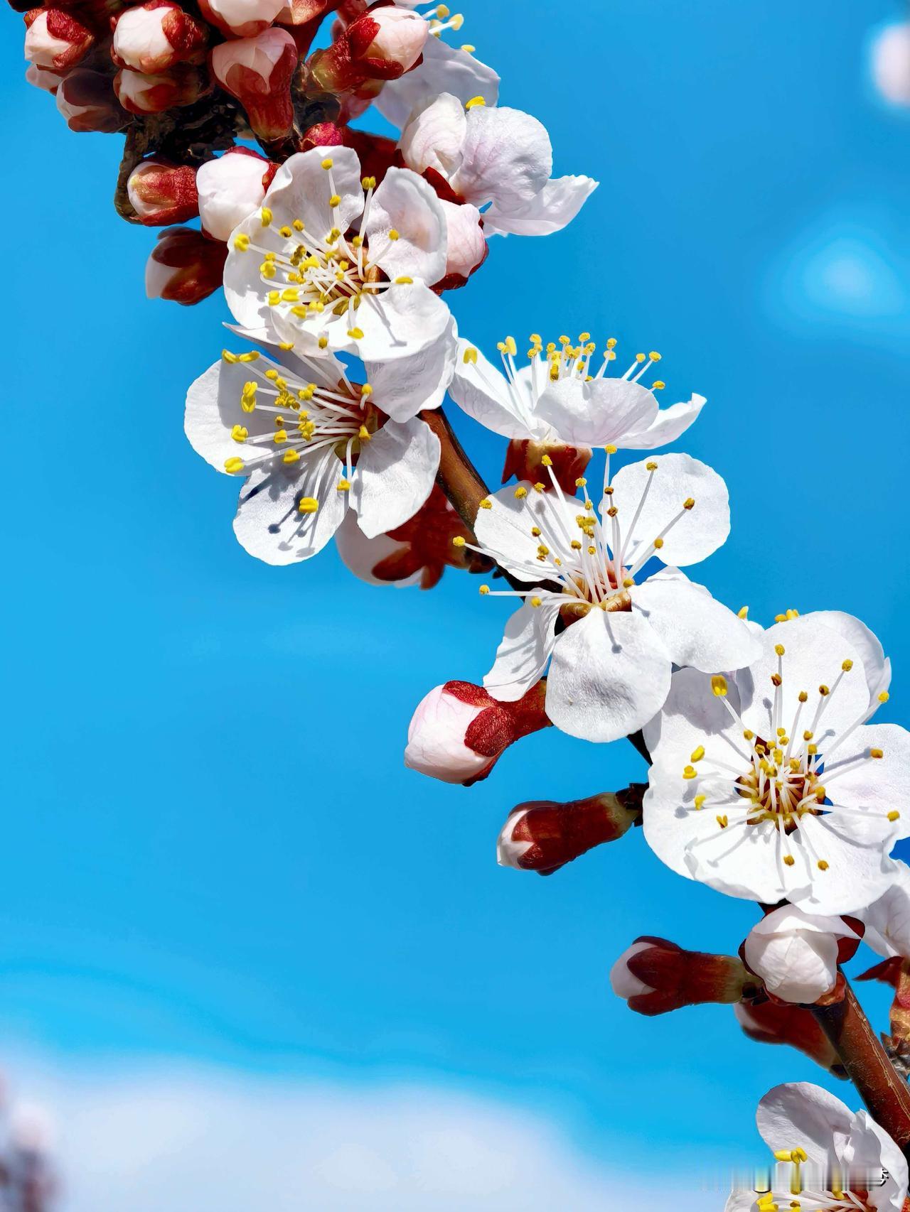 喜欢听正能量满满的故事，无意中刷到一个正能量满满的新闻。

主人公的哥哥嫂子离婚