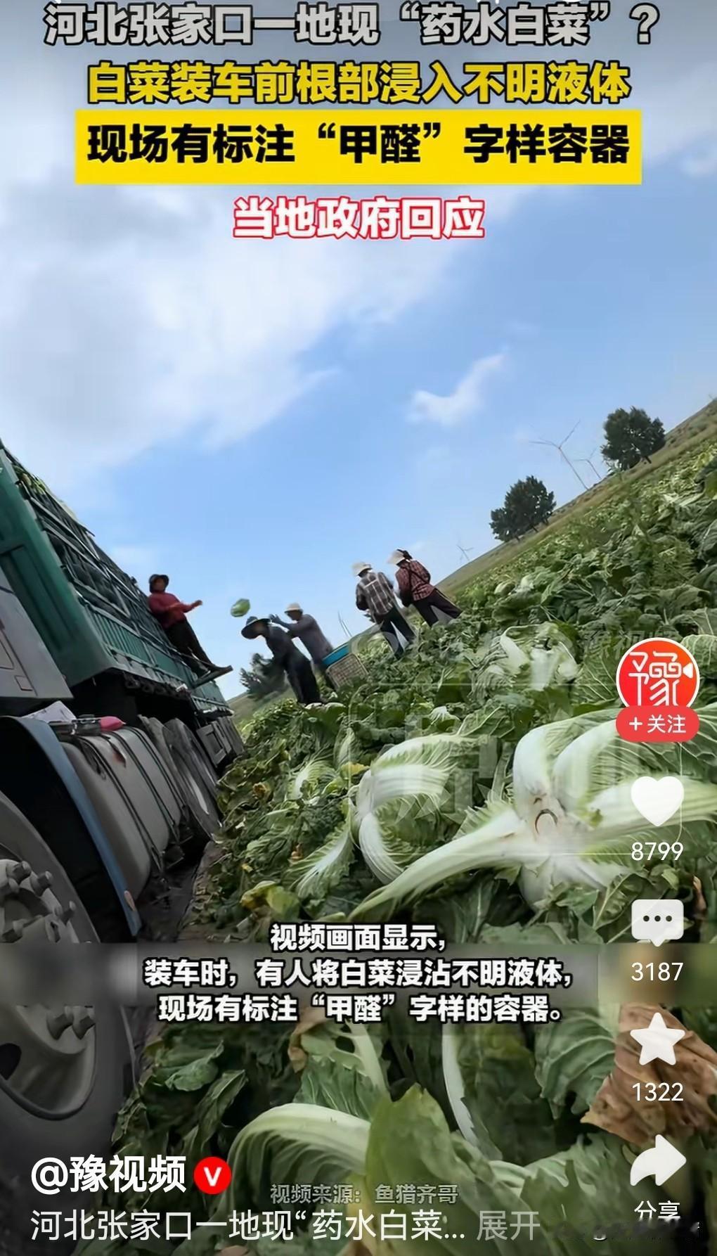 白菜蘸了甲醛，应该怎样辨认？

挑白菜，别光看颜值。那种叶子白净水灵、一点黑斑没