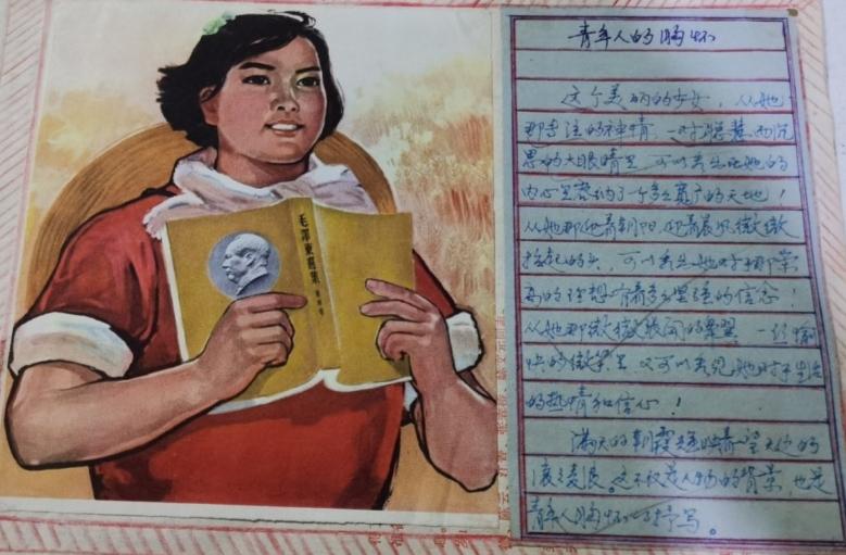 青年人的胸怀