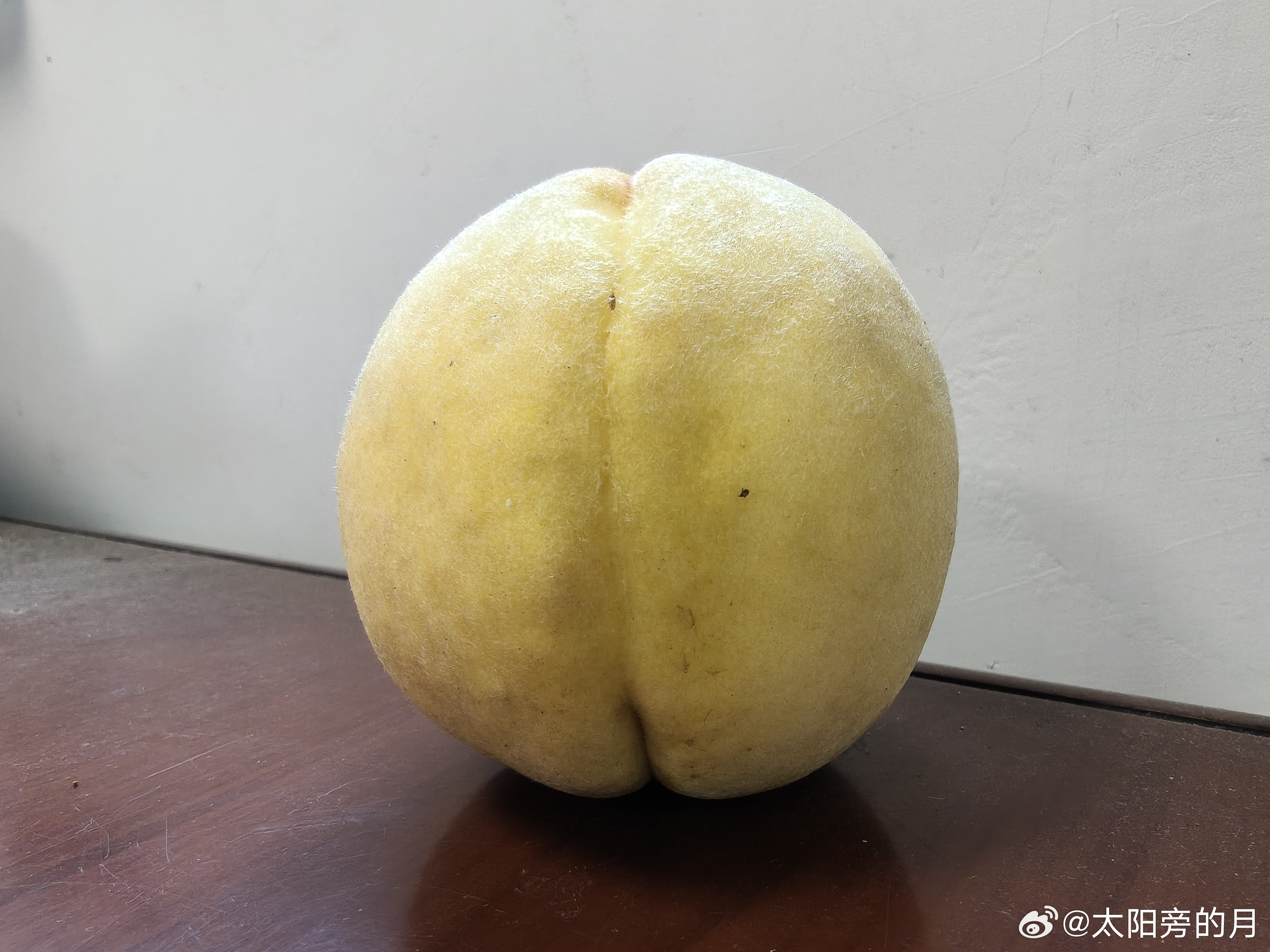 黄岩 黄桃 