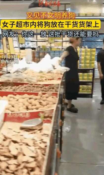 “真是脑子有病！”女子抱着宠物狗去逛超市，在中途抱累了，竟然直接将狗放在干货货架
