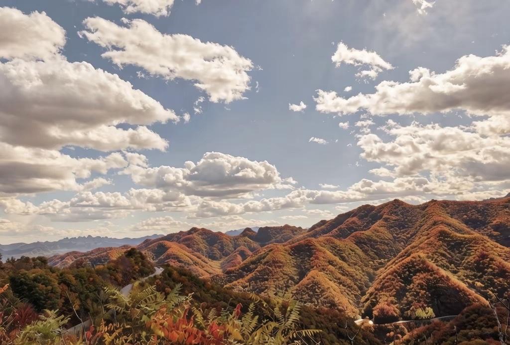 做手术，特意挑十一长假少请假，假期一结束，忍着伤口疼回学校上课。结果工资扣了80