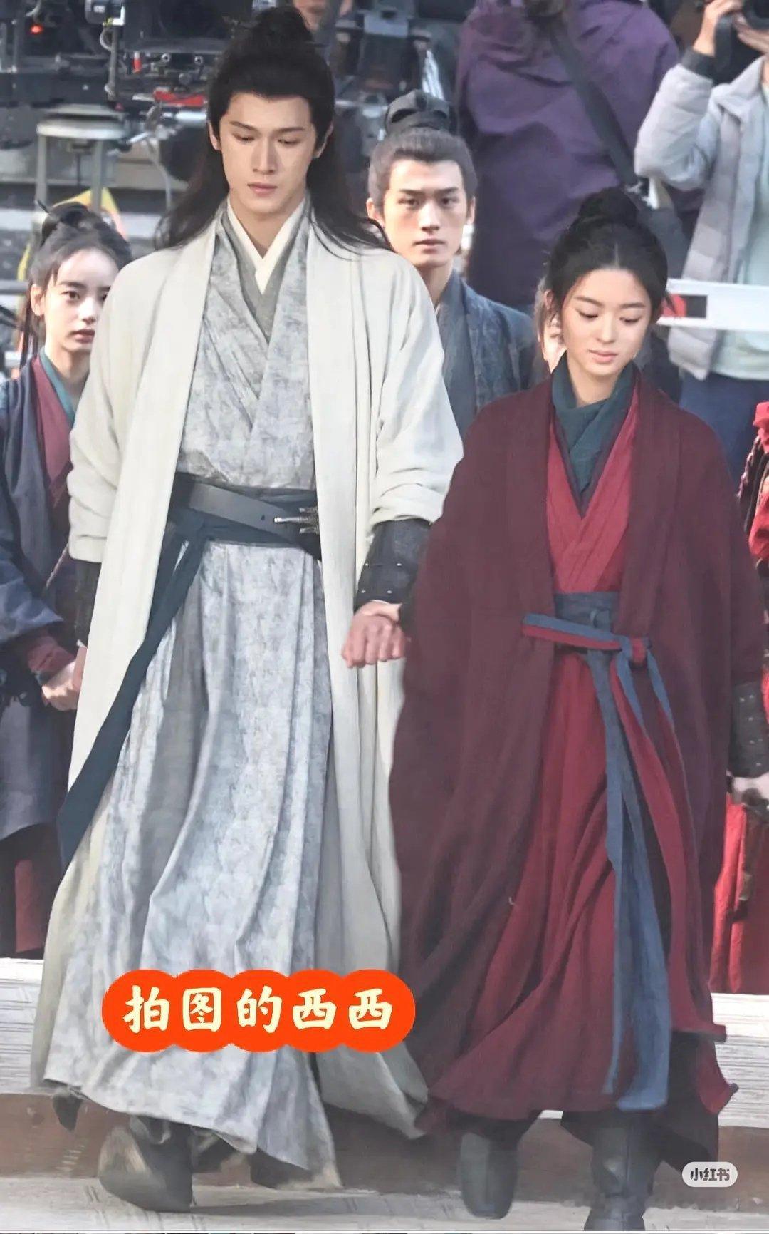 黄杨小小一只 