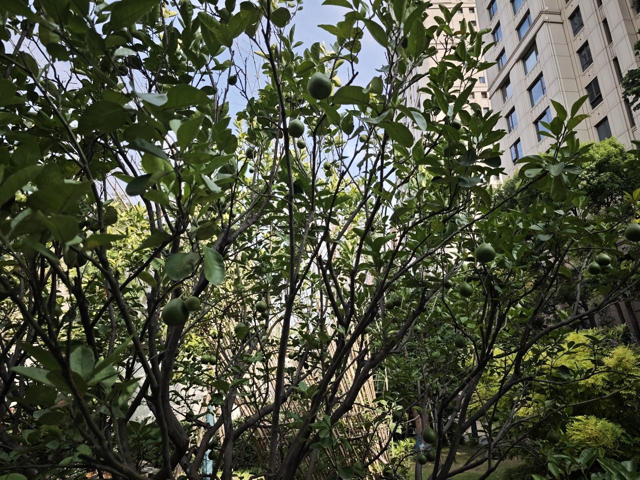 听说跳舞能预防老年痴呆，今天上午，邻居带着我，去舞蹈工作室上了一堂体验课。
真是