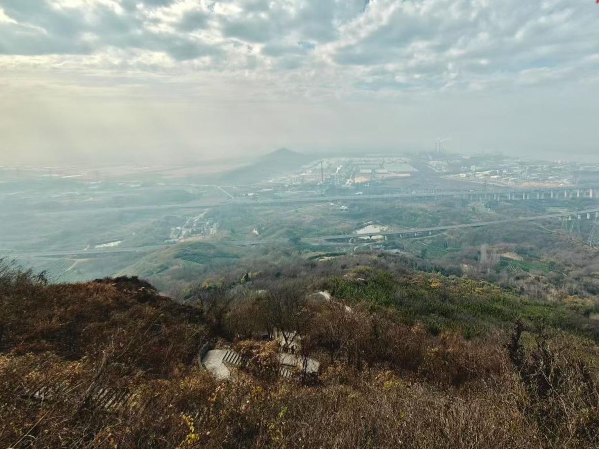 🌫️山风把雾揉进草木的褶皱里，城市与远山在朦胧中私语，每寸视野都浸着寂静又治愈