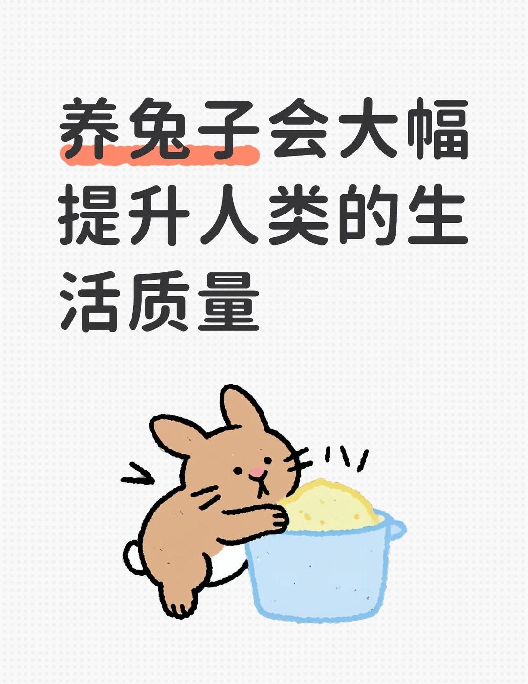 让我们加入兔门
1.情绪价值不多说了，兔儿的爱热烈又沉默，像小狗又像小猫，可以默