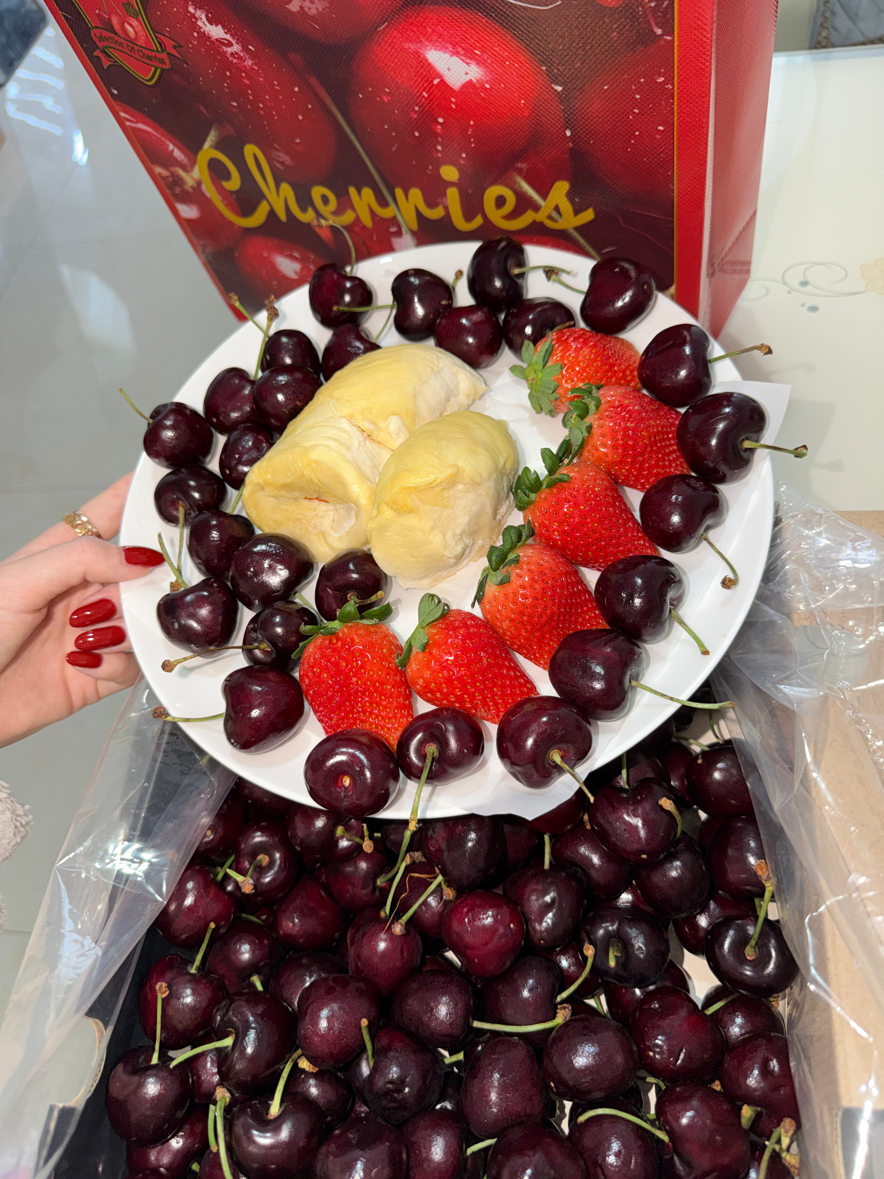 记录我的日常plog