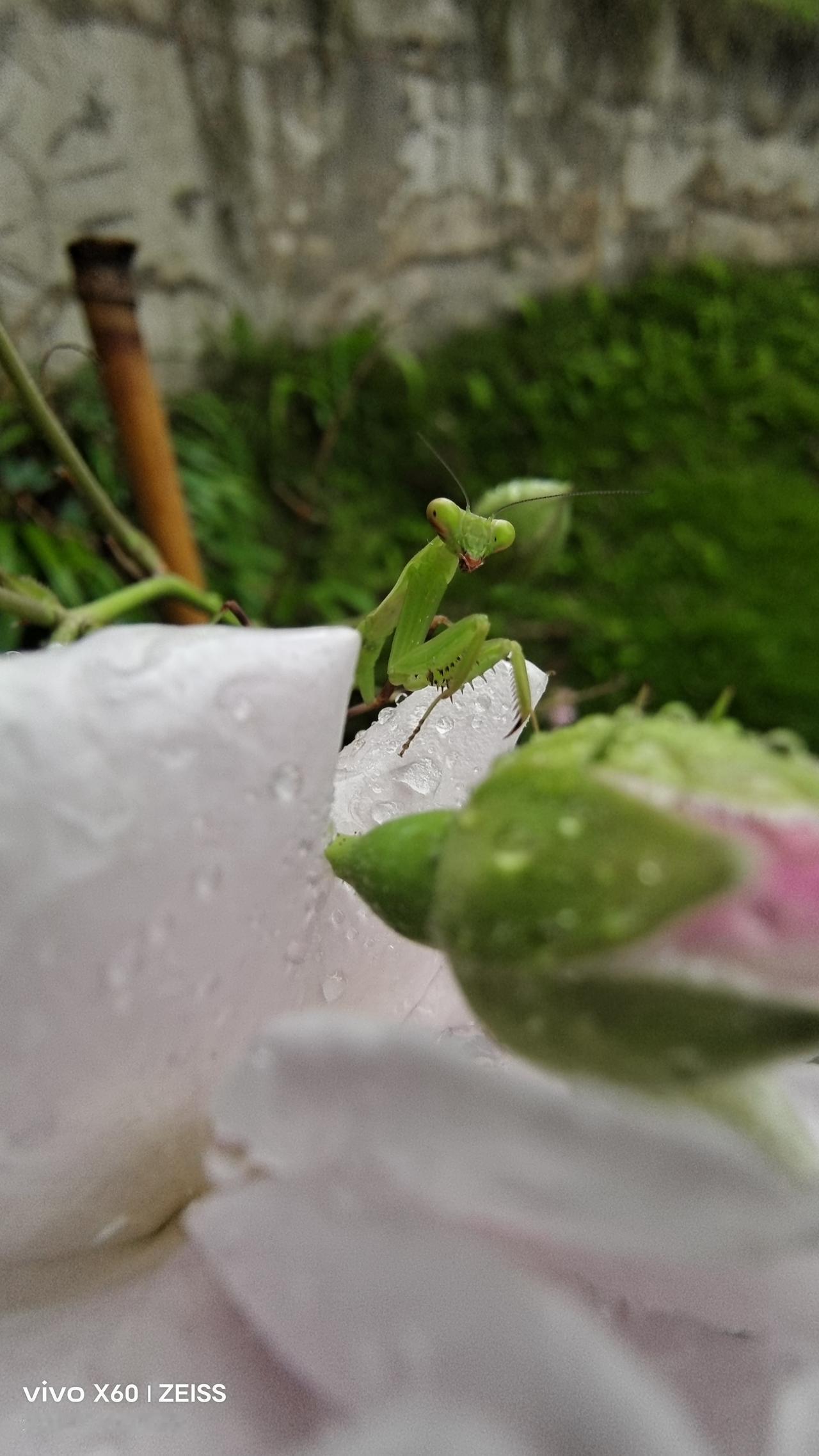 51过后的5月2号，轻微的一场细雨，天气不冷不热，最适合出去锻炼了，小雨湿了的地