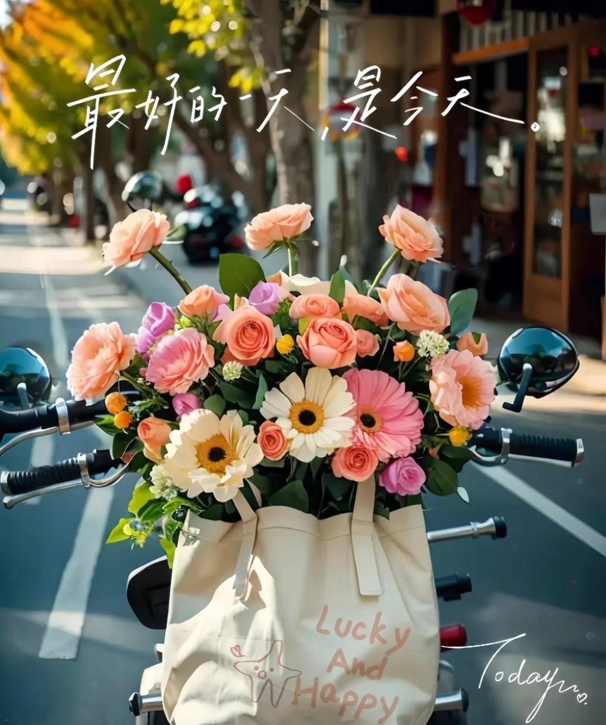 周一伊始，万象更新，把烦恼交给风，把快乐装进心，不讨好、不将就、不纠结，随心而活