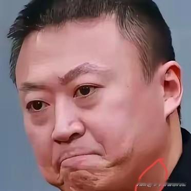 马琳缺席亚锦赛？别瞎猜他要学丁宁、刘国正去大学任职了，这事压根不是那么回事！国乒