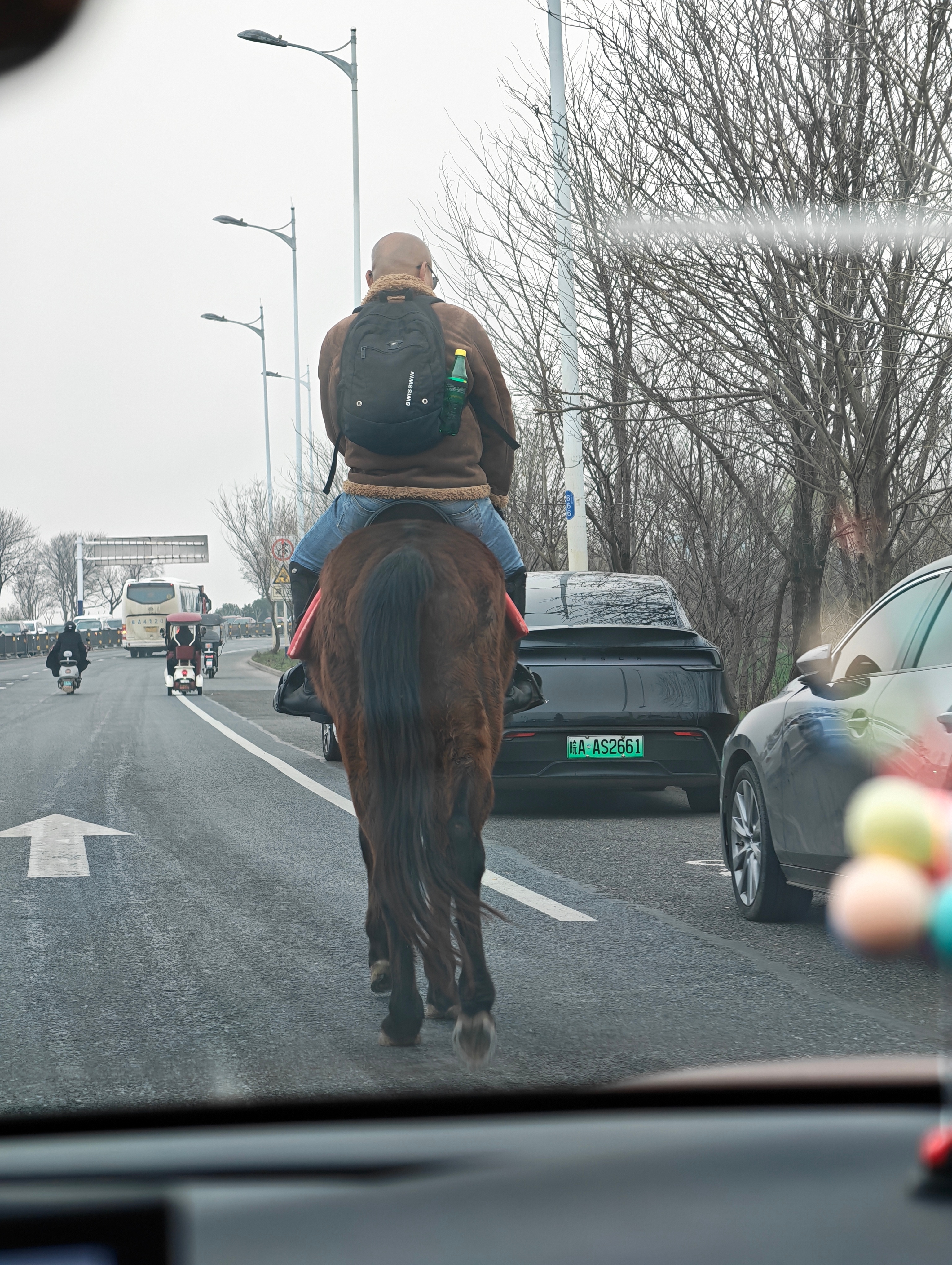 今儿路上可算开了眼！一位大哥骑着匹棕色骏马，大大方方走在车流里，马背上还挂着个黑