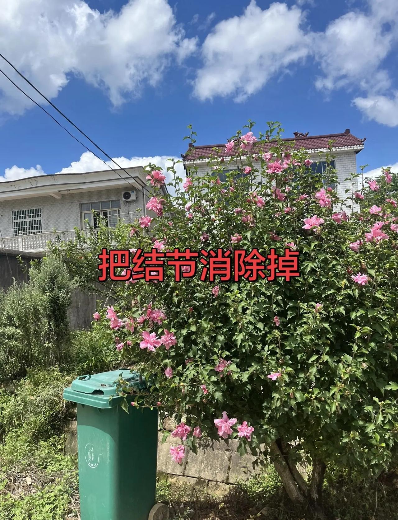 国乒男女团双双夺冠，3:2逆转日本、3:0横扫日本，这就是中国乒乓的统治力！国乒