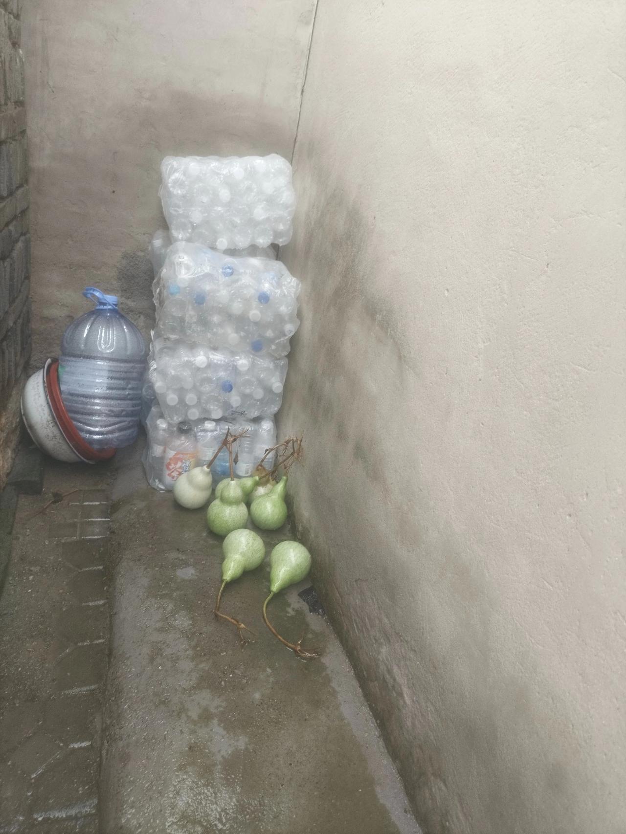 就结了7个葫芦