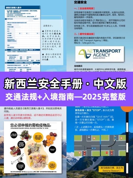 新西兰旅游✅第1次国外自驾❓必备中文交规