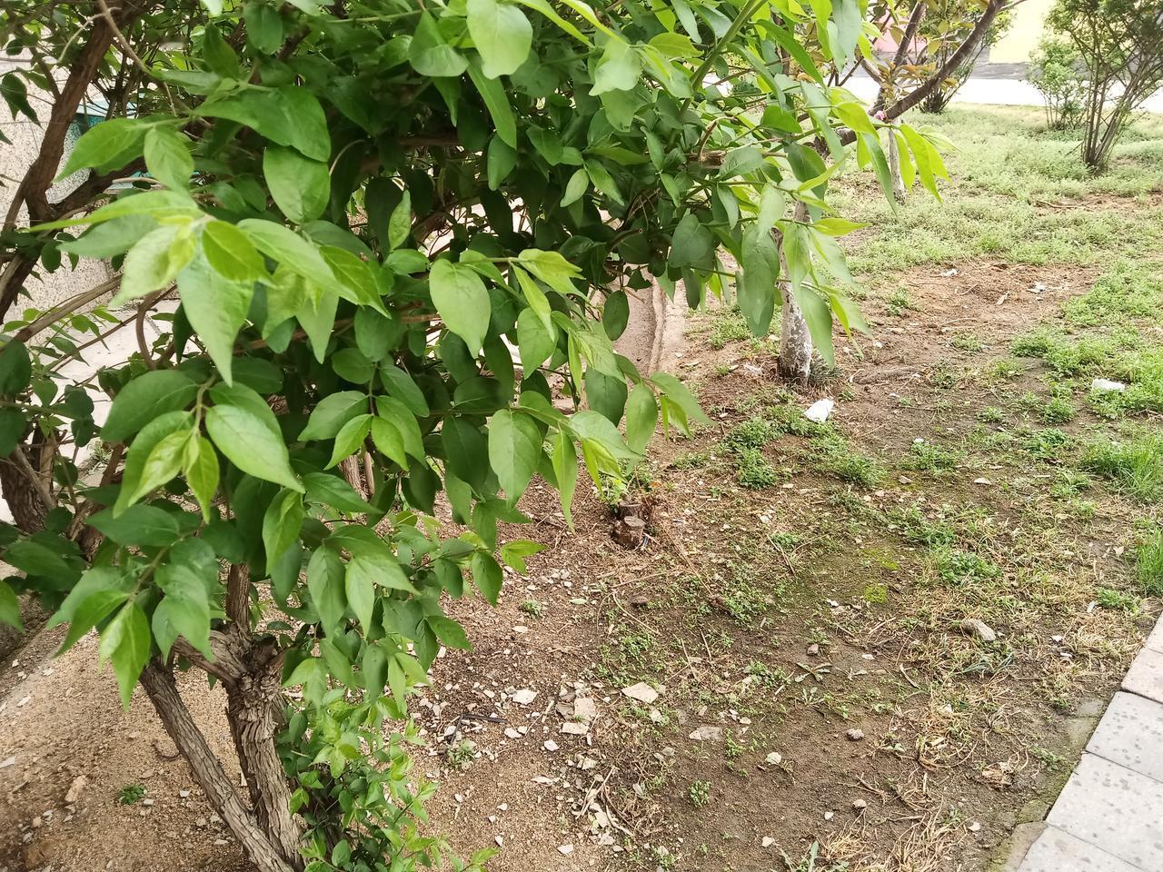 前段时间向我们小区的物业提出改进管理服务的建议，发现物业工作有了起色，值得表扬。