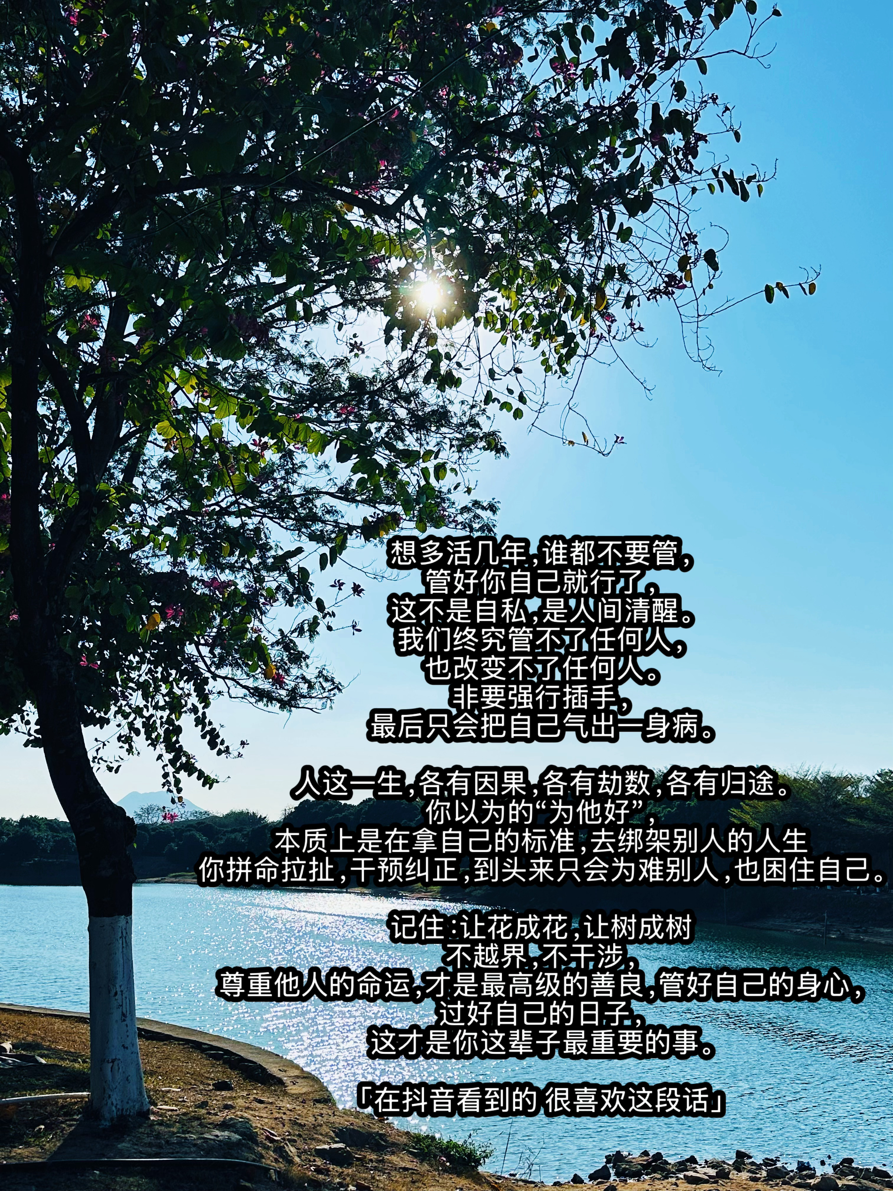 各人自扫门前雪 莫管他人瓦上霜 