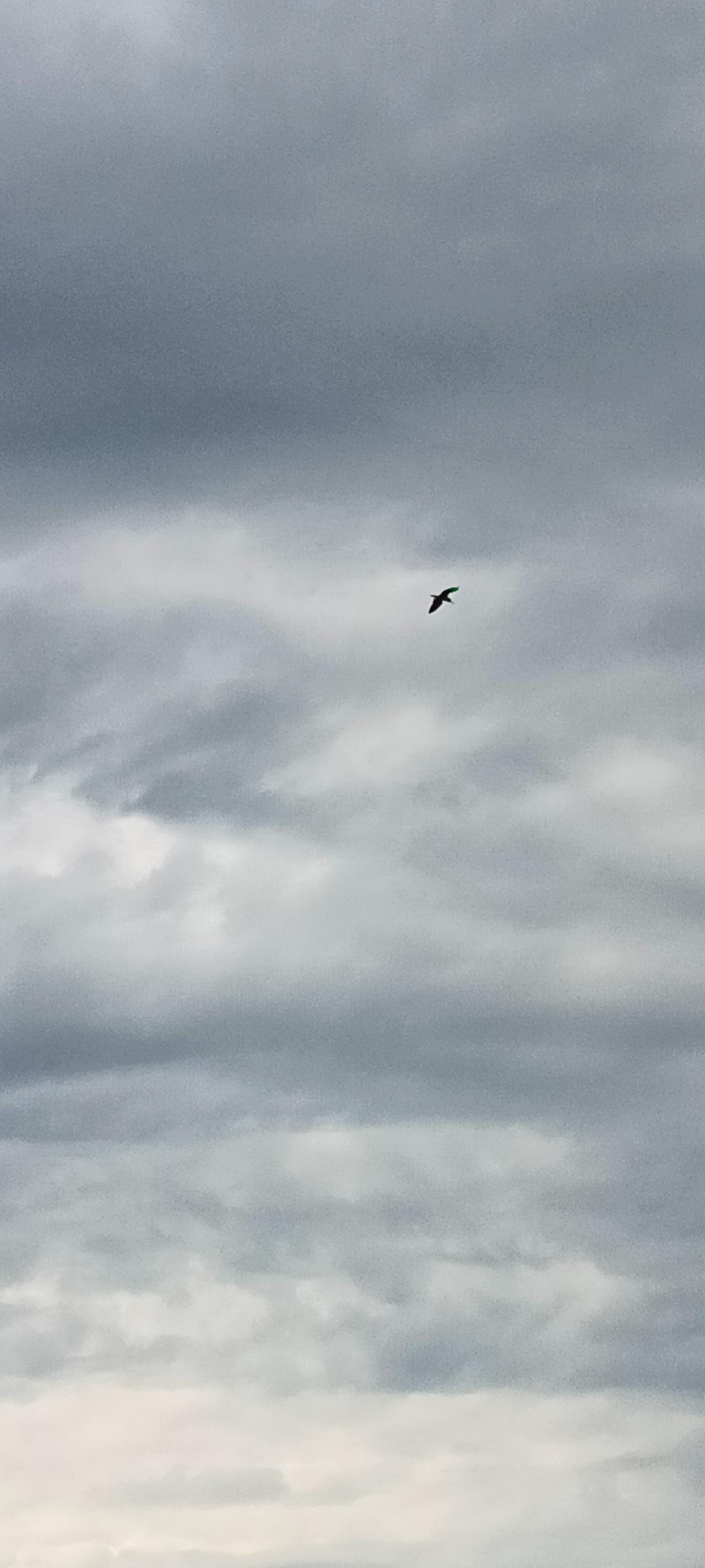 试对：

一纸断肠诗
六月飞雪天

******

网图侵删