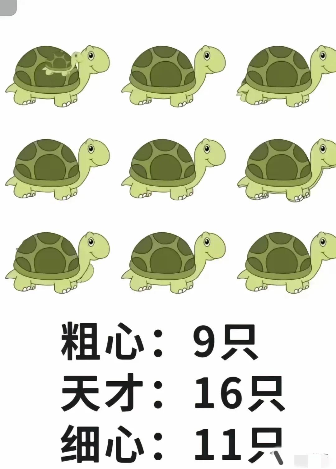 眼细的人来看一看，
16只怎么看出来的，
我只看到10只。