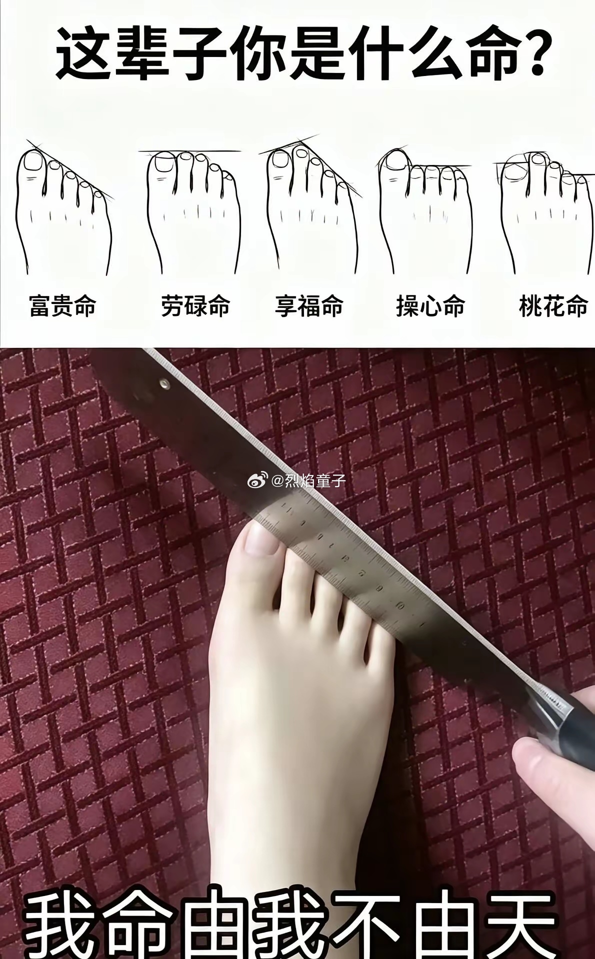 我命由我不由天 ​​​