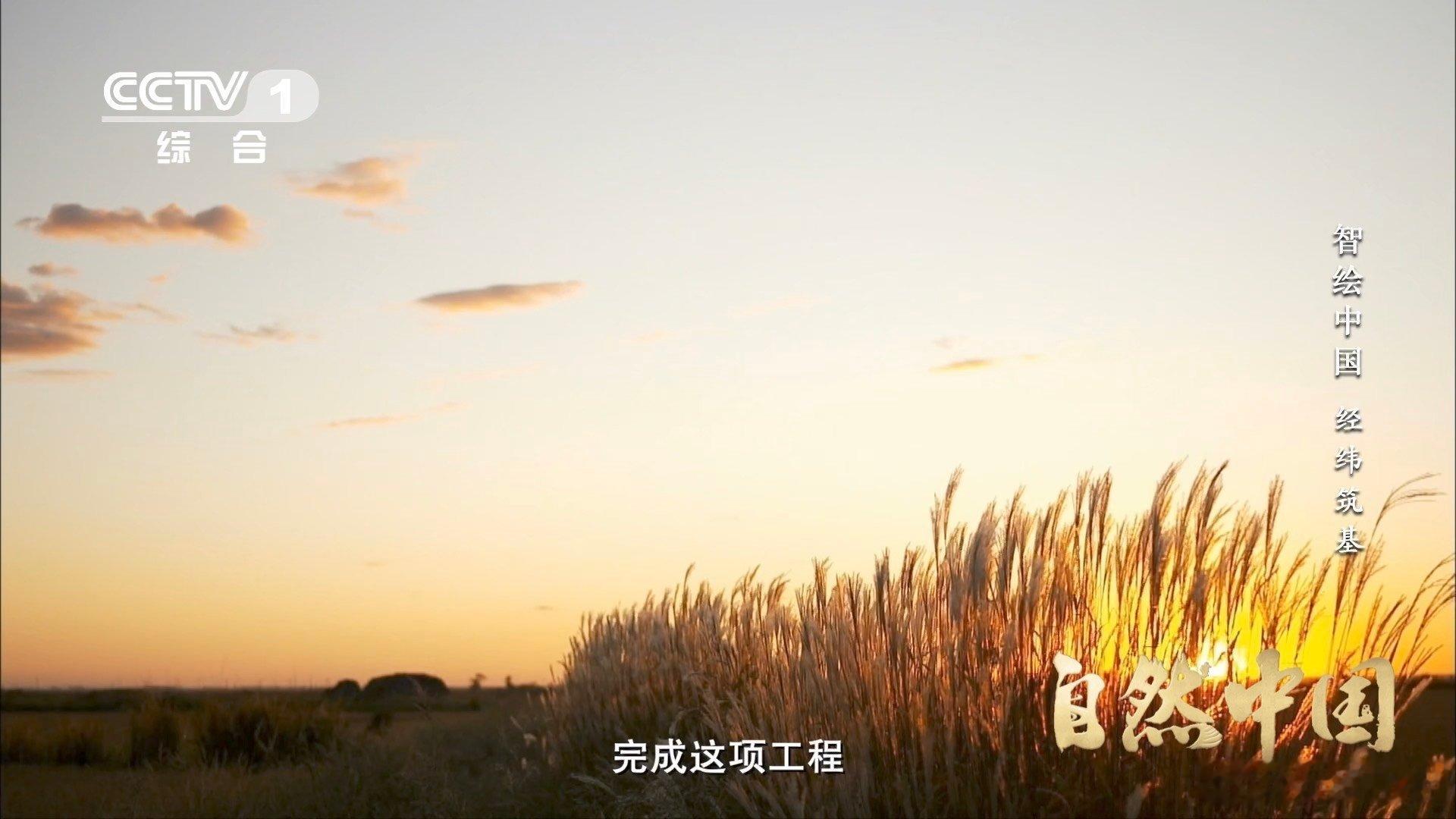 全中国海拔都从这颗石头算起青岛一颗玛瑙石定了中国水准原点没有耀眼的外观，却拥有无