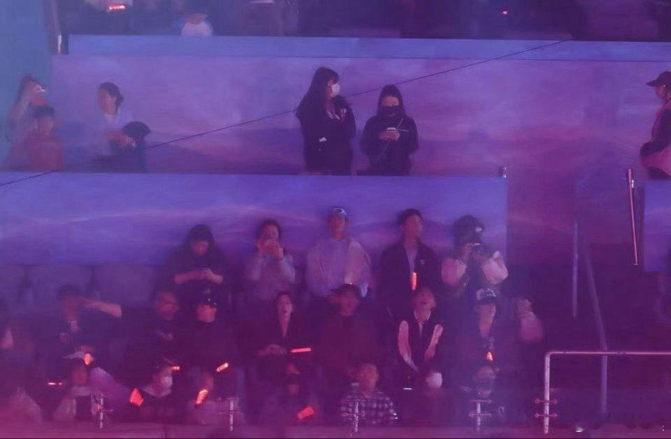 张极又去看张杰演唱会了张极现身张杰鸟巢演唱会 张极又双叒来张杰鸟巢演唱会啦！从小