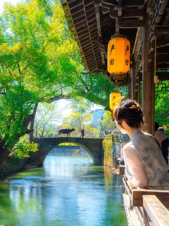 婺源春天☺️像来到宫崎骏笔下的童话世界